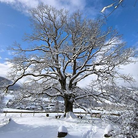 Hotel Garni Oberdorfer Stuben 오베르마이셀스타인 외부 사진